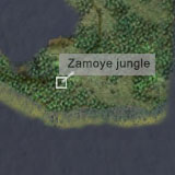 Zamoye jungle